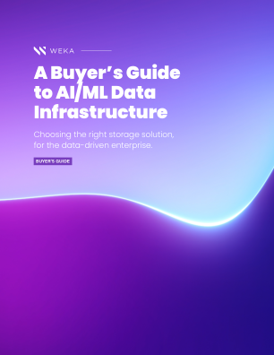 AI/ML 数据基础设施购买者指南